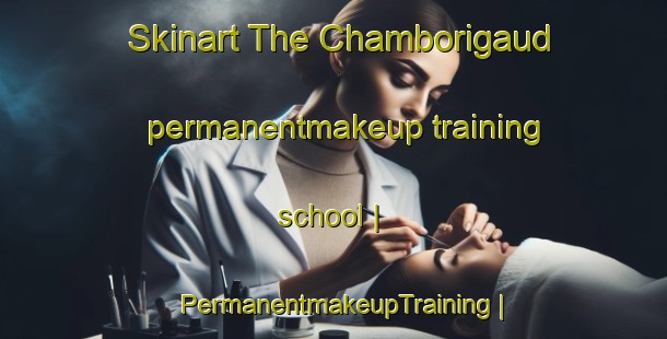 Skinart The Chamborigaud permanentmakeup training school | PermanentmakeupTraining | PermanentmakeupClasses | SkinartTraining-France